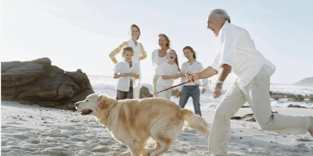 Family chasing dog on beach