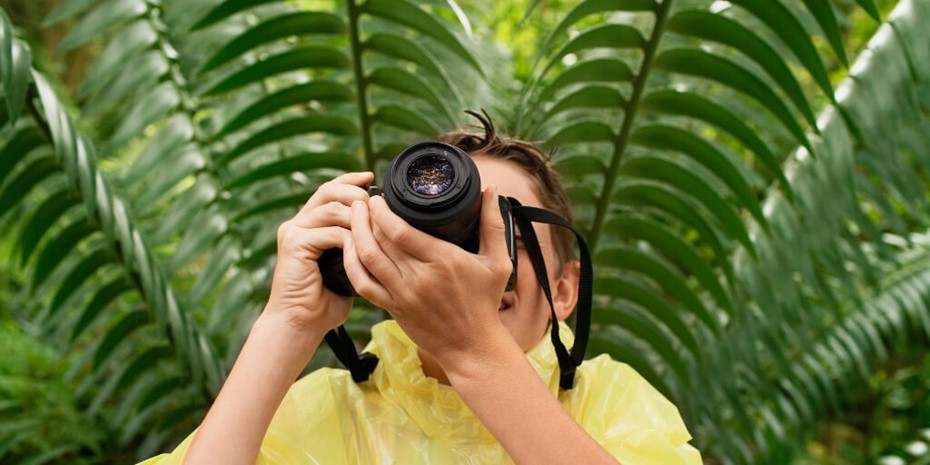 Person taking photo with green ferns in background